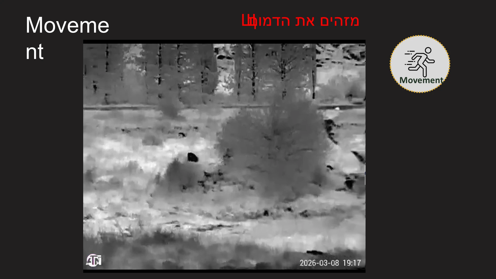 Movement Movement מזהים את הדמות? מתוך המצגת דרכים לגילוי רחפנים