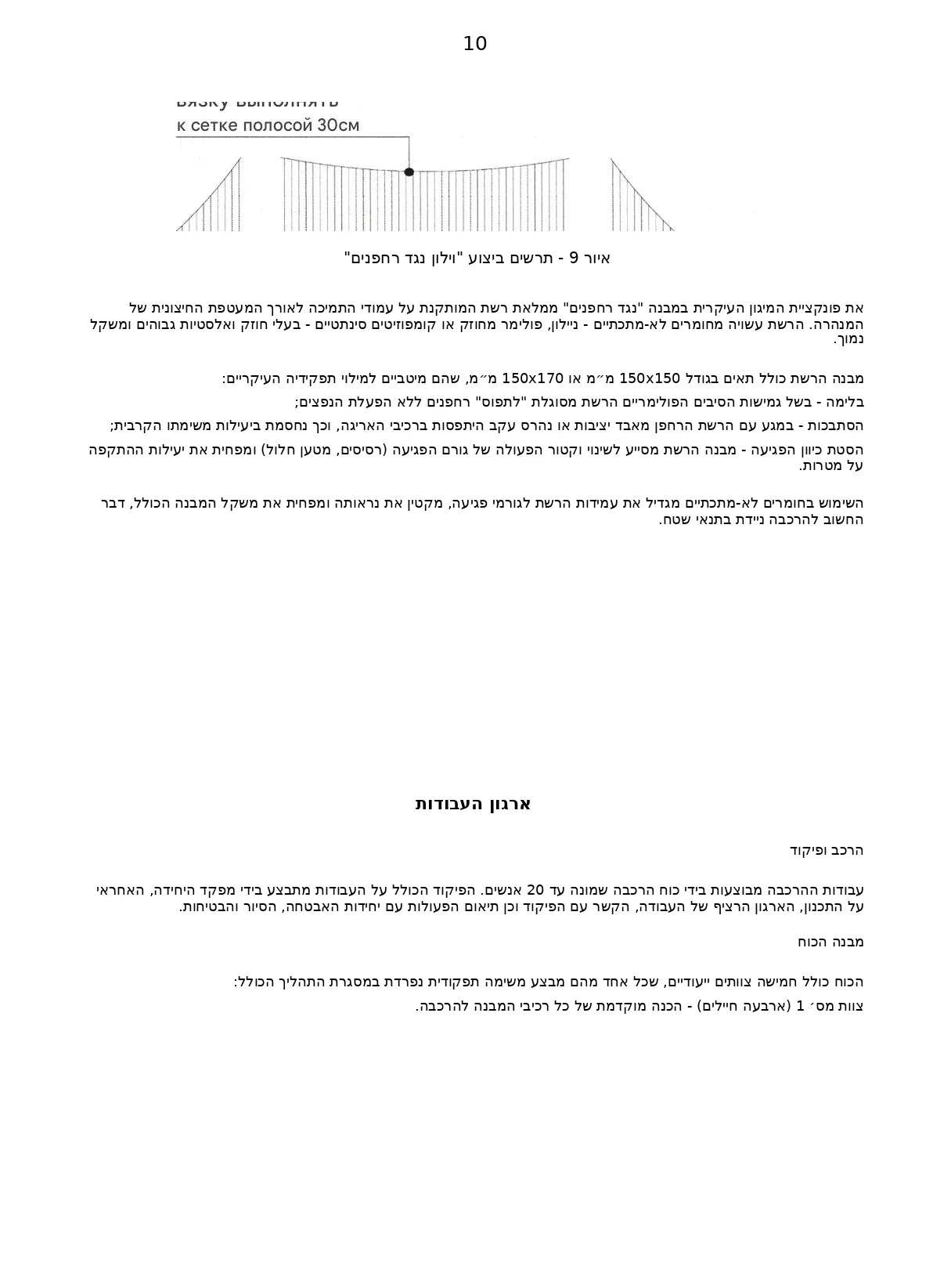 עמוד 11