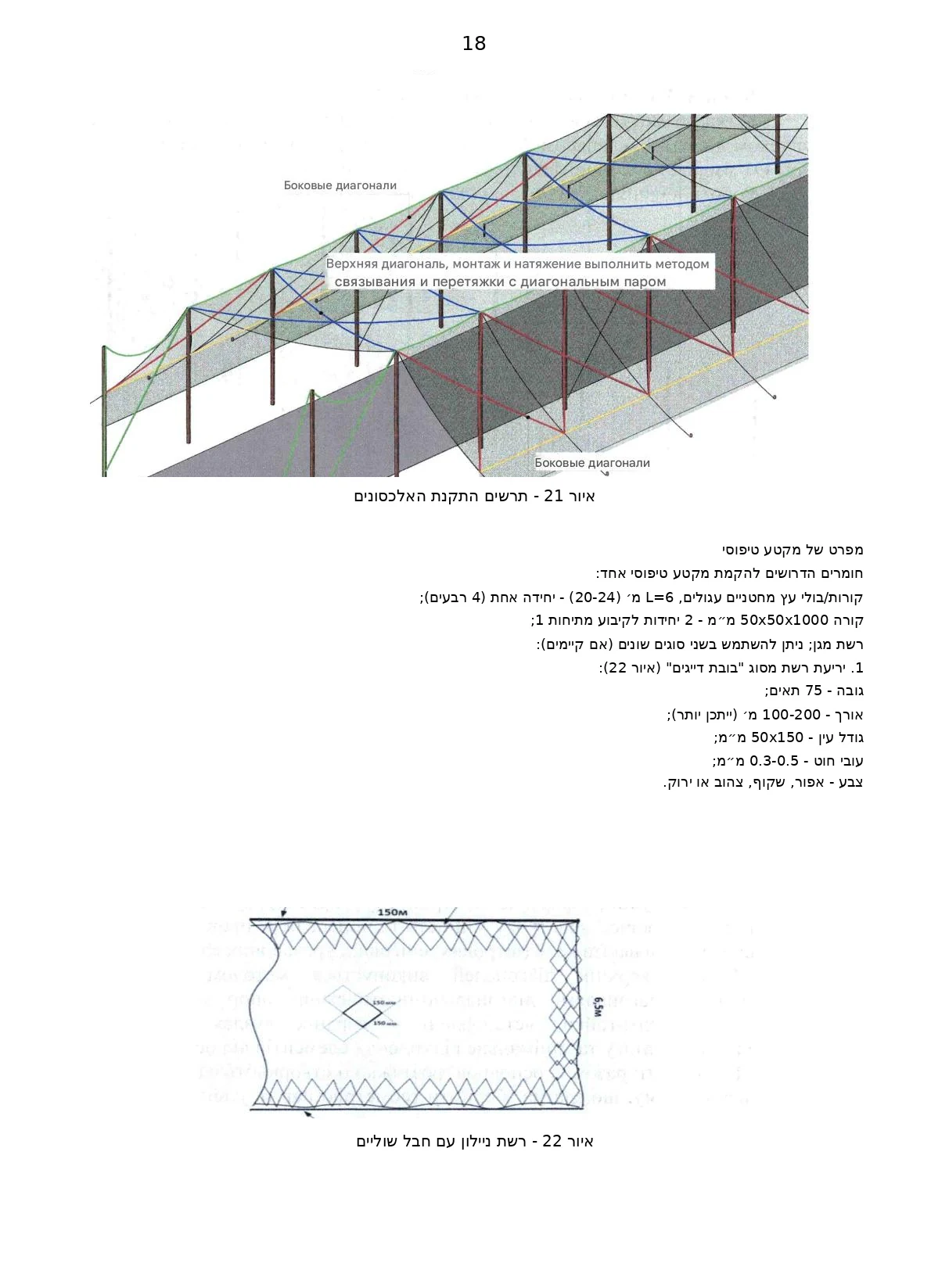 עמוד 19